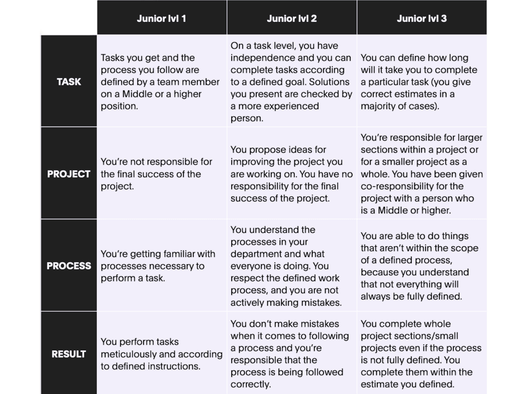 Seniority Ladder Example Blog | How we determine Seniority levels at Bornfight - Bornfight